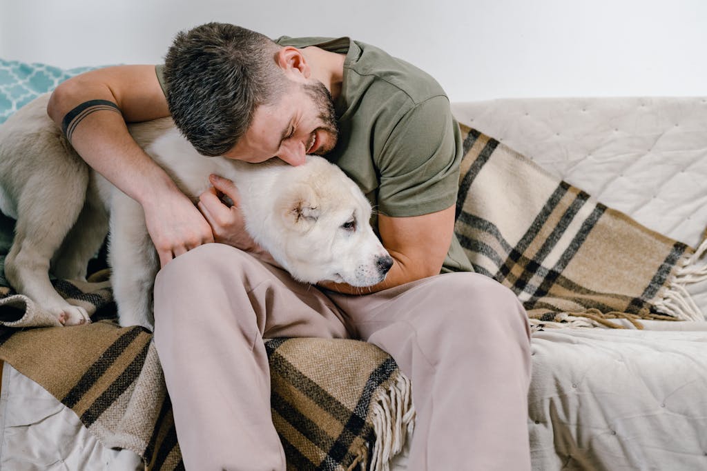 medication schedule for pets