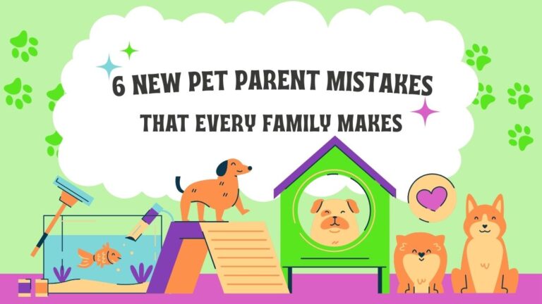 6 New Pet Parent Mistakes and how to fix them
