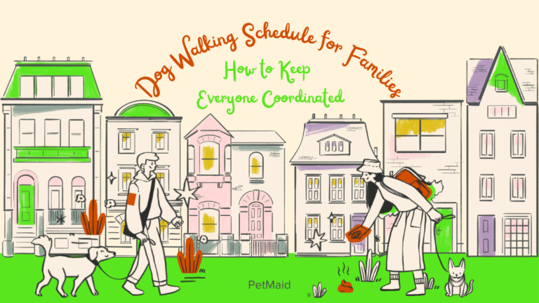 Dog Walking Schedule for Families: How to Keep Everyone Coordinated